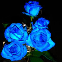 The Garden of Belief - Blue Roses